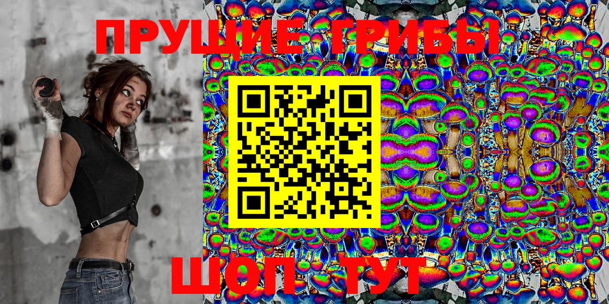 где найти   Псилоцибиновые грибы Psilocybe  Вход с VPN  Тулун 